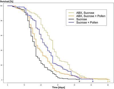 Dream Team for Honey Bee Health: Pollen and Unmanipulated Gut Microbiota Promote Worker Longevity and Body Weight